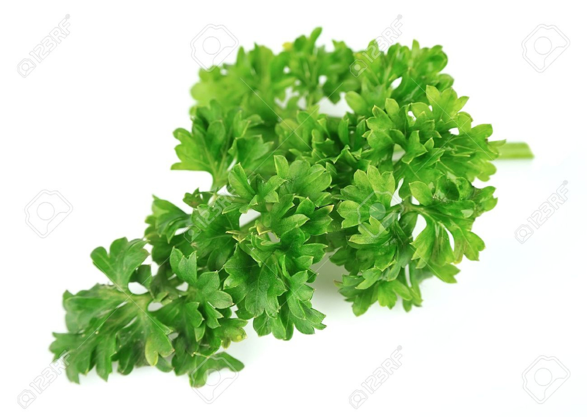 Produce - Herbs - Curly Parsley